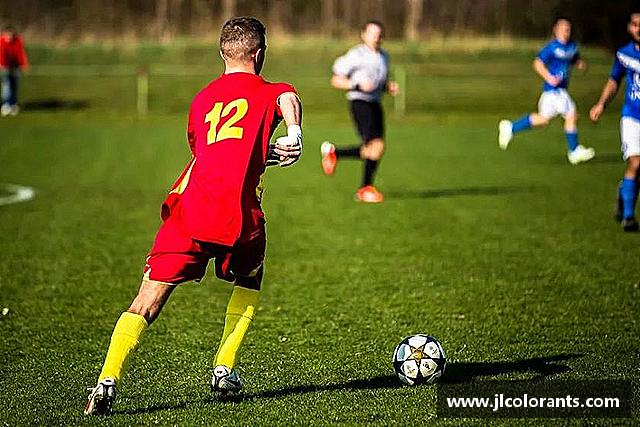 介绍bevictor伟德